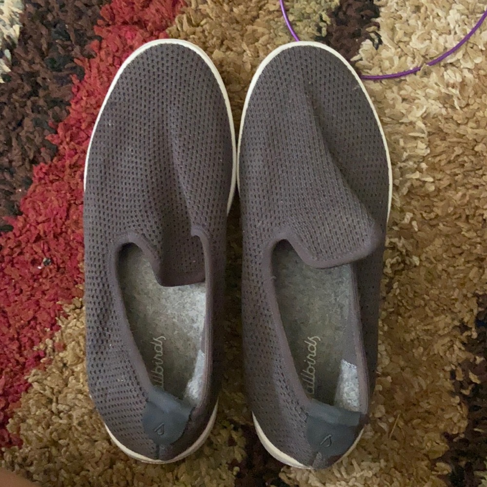 Grey Allbird Slides